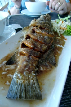 gebratenen Fisch mit Thai Sauce