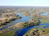 Das Okawango Delta von oben.