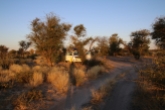 Die Zentral Kalahari, Campsits ohne Strom und Wasser.